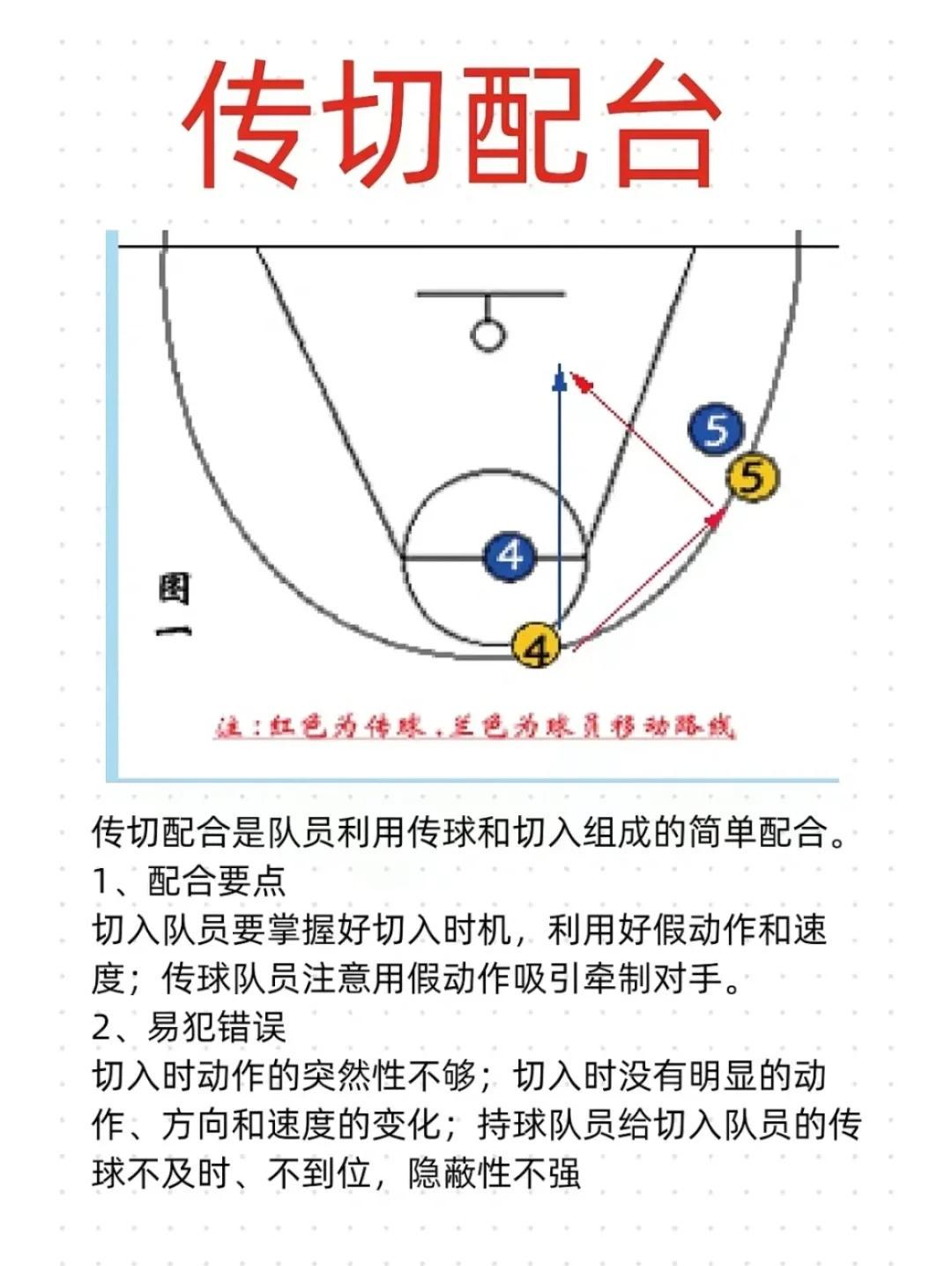 哪里能找到关于篮球轮换技巧的详细资料